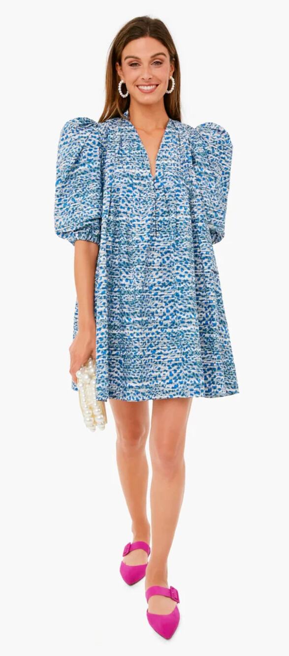 HUNTER BELL Tuckernuck Terrazzo Blue Leopard Jenkins Mini Puff Sleeve Dress XS